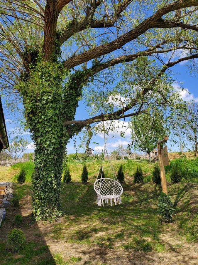 Holiday Home Vinovilla Kutjevo Exterior photo